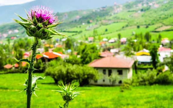 همنشینی با ابرها در ییلاق مازیچال کلاردشت