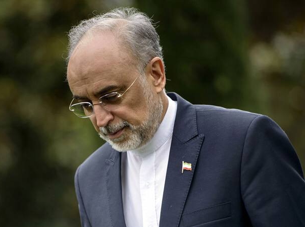 افزایش تماس‌ها و درخواست‌ها از علی اکبر صالحی برای ثبت‌نام در انتخابات ریاست‌جمهوری