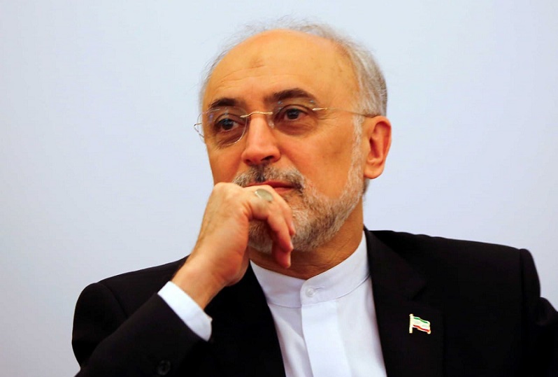 علی اکبر صالحی:  درحال بررسی موضوع کاندیداتوری ام هستم / اگر به قطعیت رسیدم، فردا یا پس فردا به وزارت کشور مراجعه می‌‌کنم