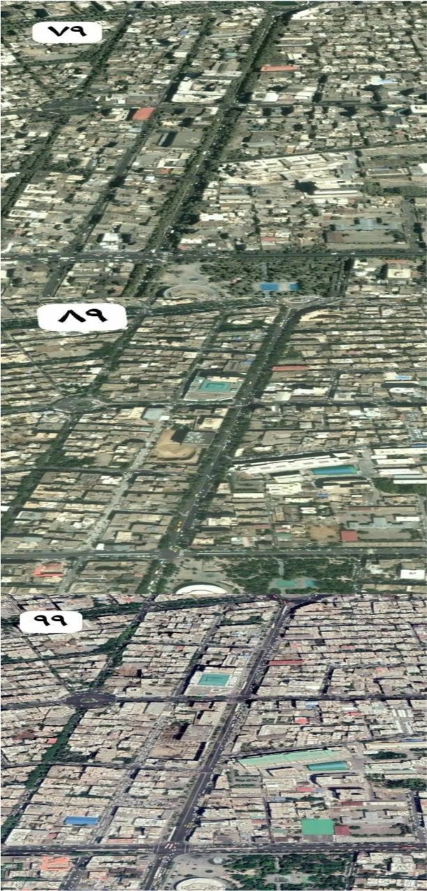 ناپدید شدن چنارهای محدوده چهارراه ولی&zwnj;عصر تا میدان ولی&zwnj;عصر