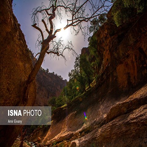 تصاویر: دره «شیرز»