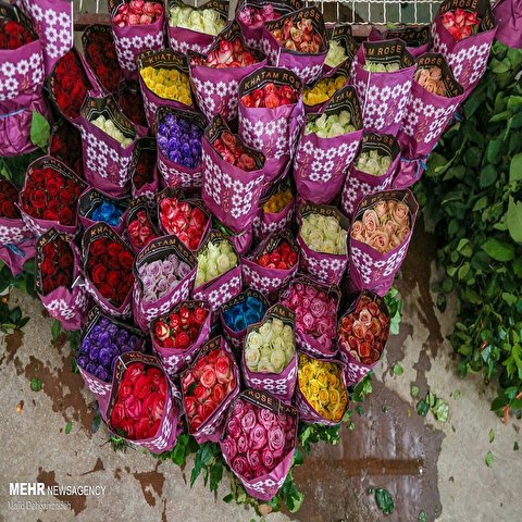 تصاویر: پرورش گل در کویر