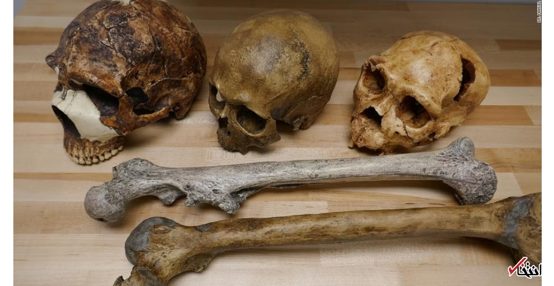 تغییر اندازه مغز انسان تحت تأثیر تغییرات آب و هوایی