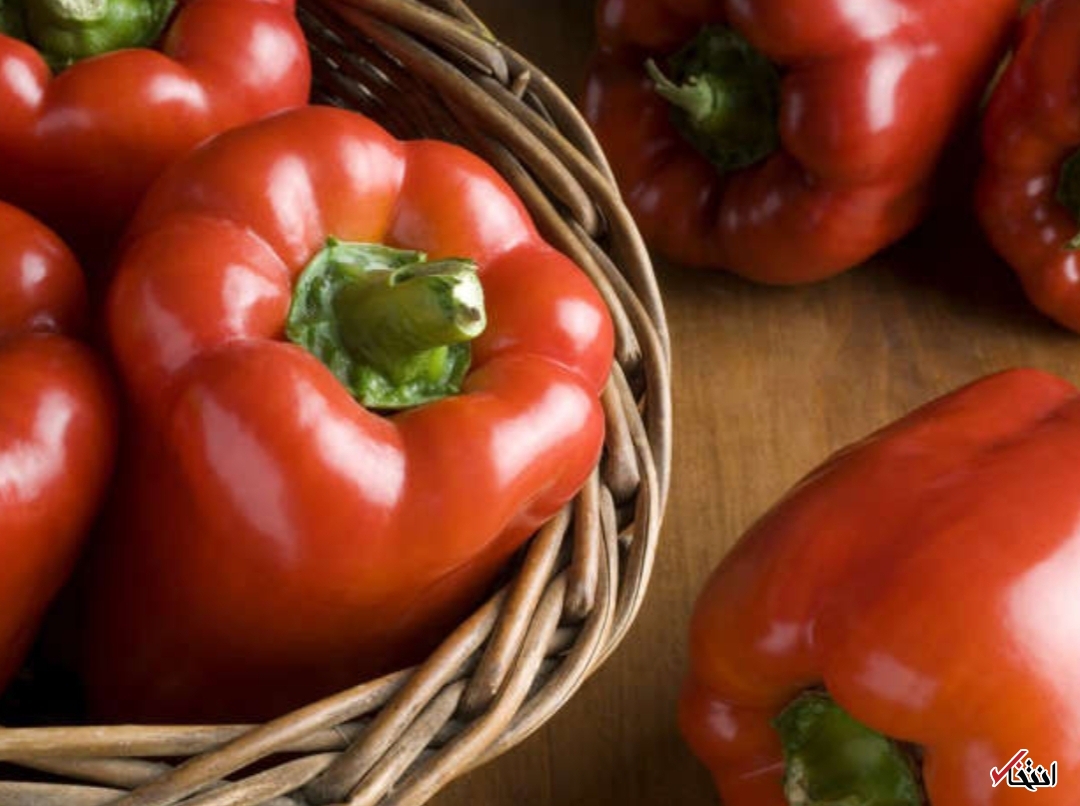 فلفل دلمه ای قرمز