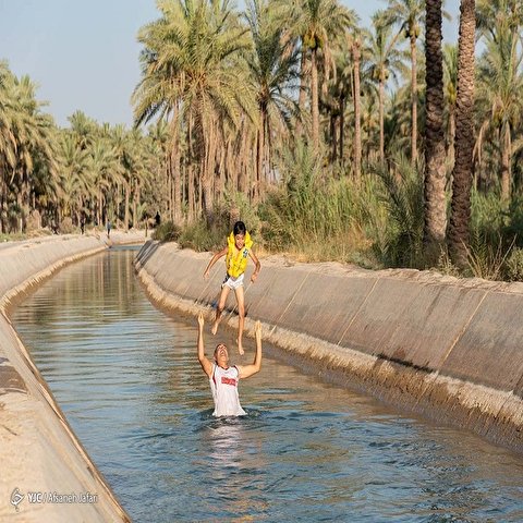 تصاویر: فرار از گرمای تابستان بوشهر