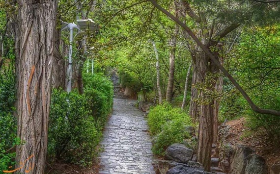 با سه پاتوق برای گشت و گذار در نیاوران آشنا شوید با سه پاتوق برای گشت و گذار در نیاوران آشنا شوید