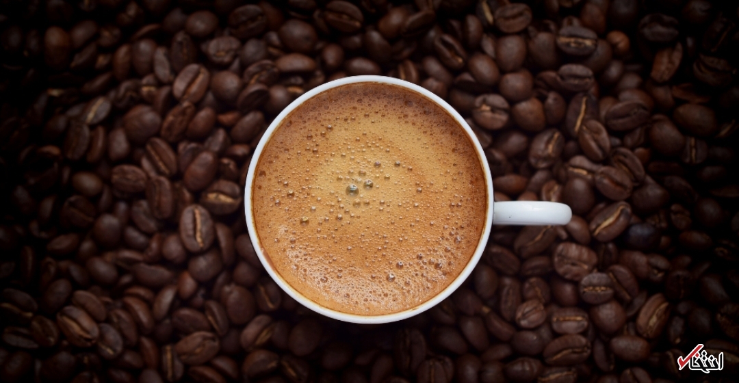 ۵ خوراکی که شما را باهوش می‌کنند