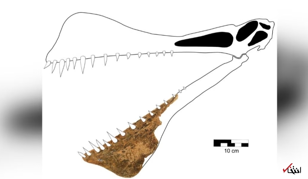 ماجرای پرواز اژد‌های غول پیکر 