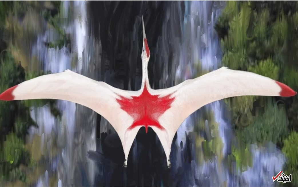 اژد‌های غول پیکر 