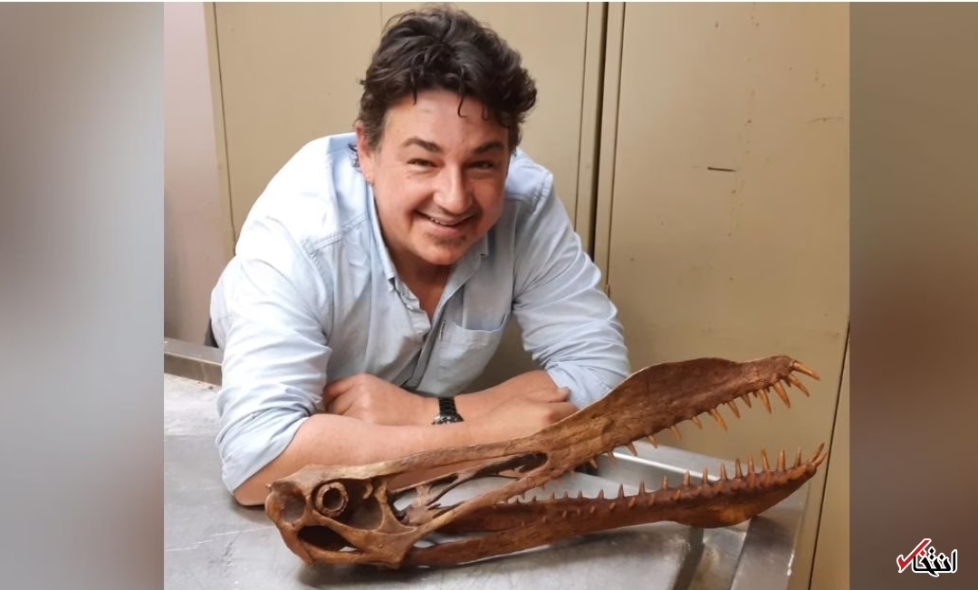  پرواز اژد‌ها