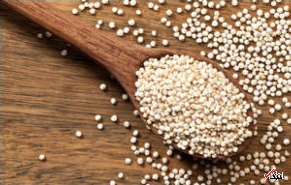 کینوا کینوا