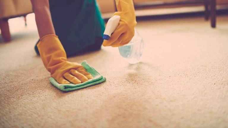 چگونه لکه استفراغ را از فرش پاک کنیم؟ چگونه لکه استفراغ را از فرش پاک کنیم؟