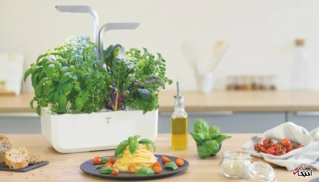باغچه هوشمند با نور LED خودکار + تصاویر