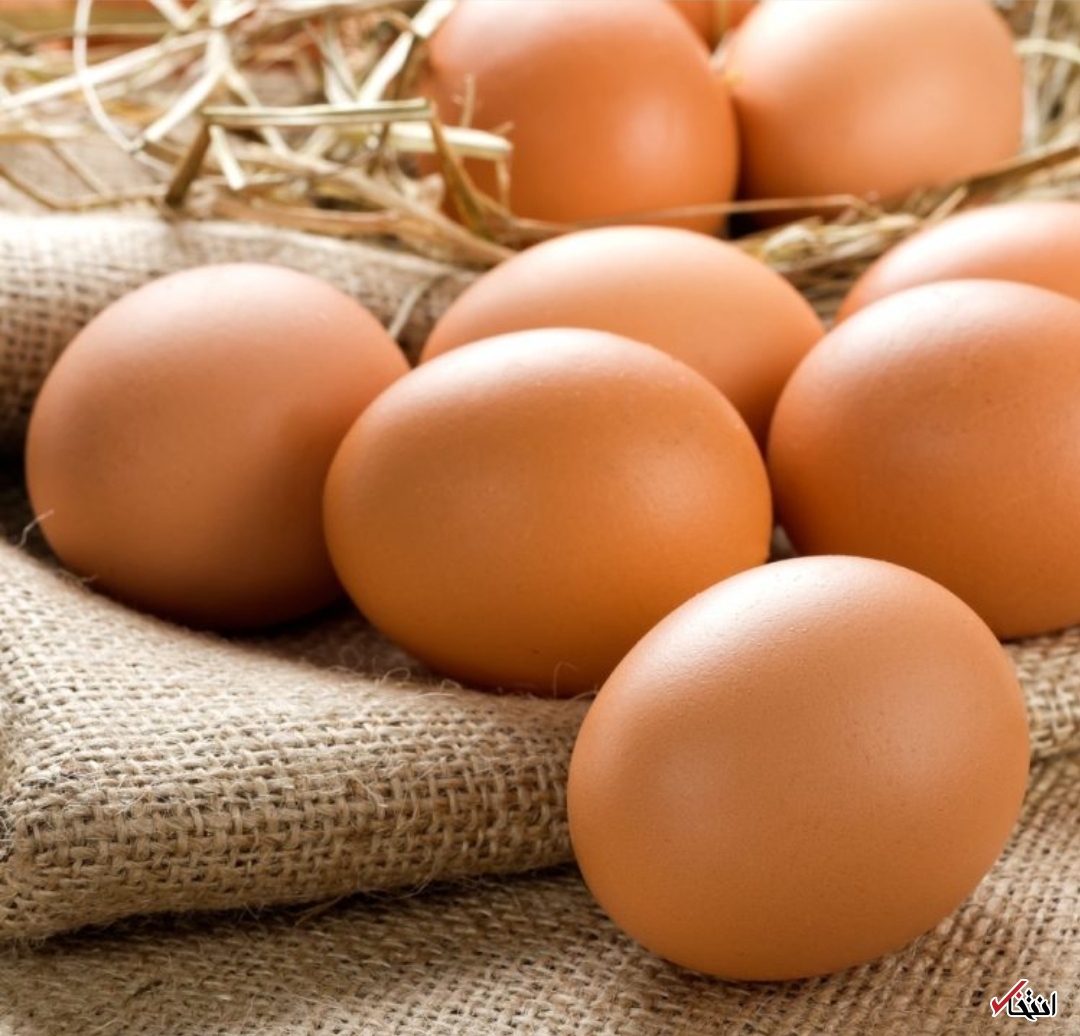 روز جهانی تخم مرغ مبارک!