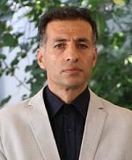 روش درگیری با مهاجم فرضی