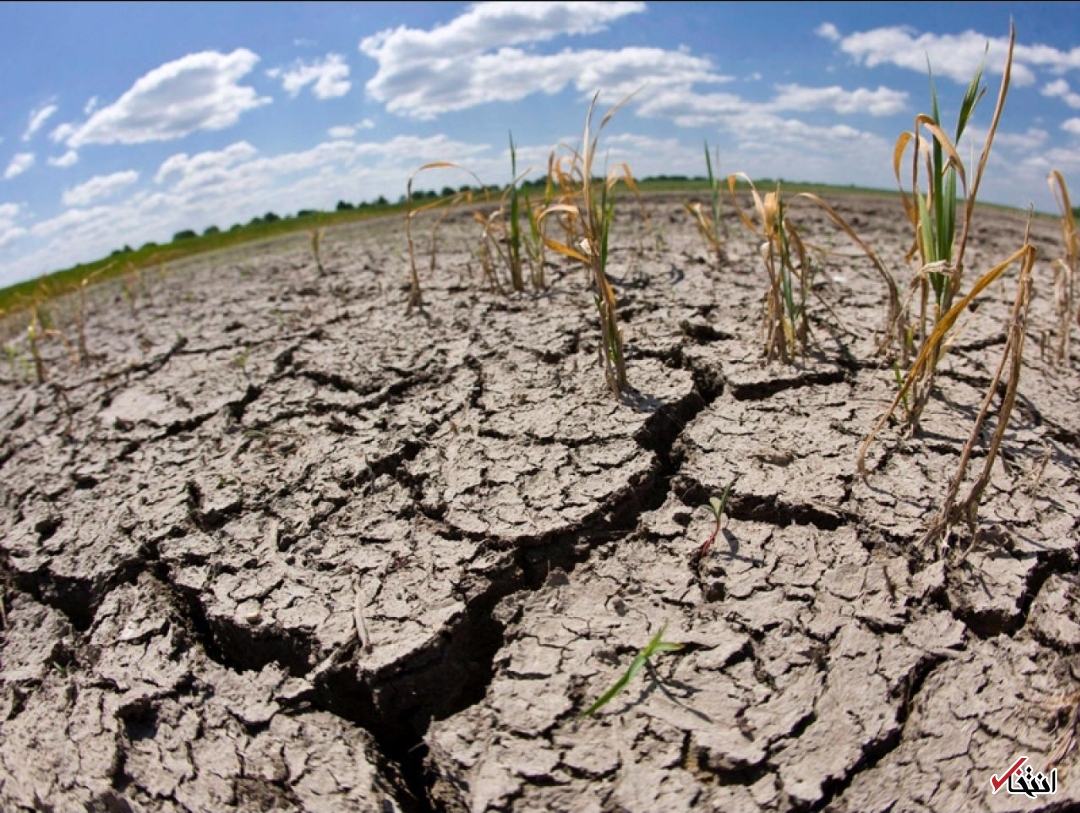 افزایش مرگ و میر زودرس بر اثر خشکسالی