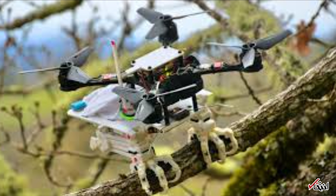 پرواز ربات پرنده در آسمان‌ها