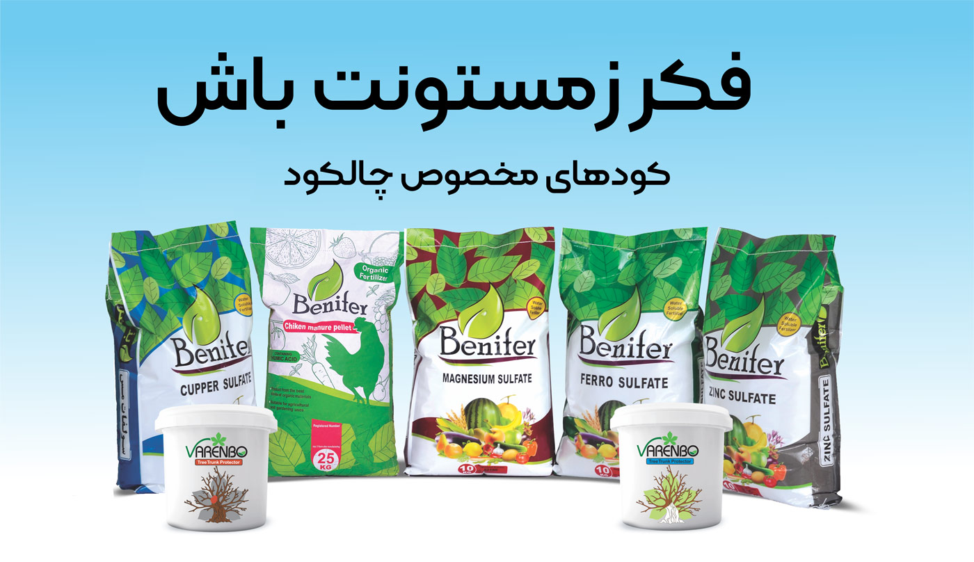 آیا درختان در زمستان نیاز به تغذیه دارند؟ چالکود چیست؟