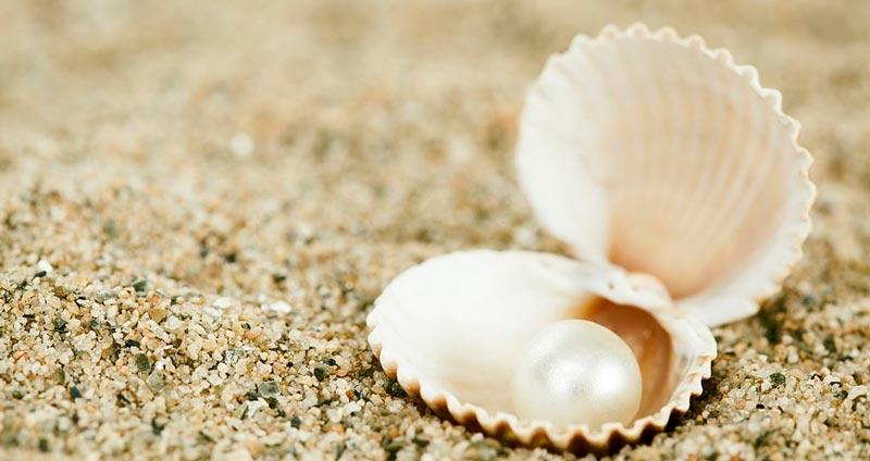 ۱۵ راز نوشتن رزومه&zwnj;ای عالی  برای استخدام