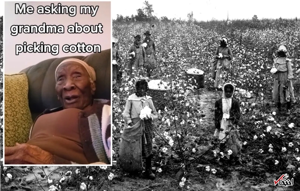 داستان زندگی مادربزرگ ۱۰۳ ساله در فضای مجازی پربازدید شد