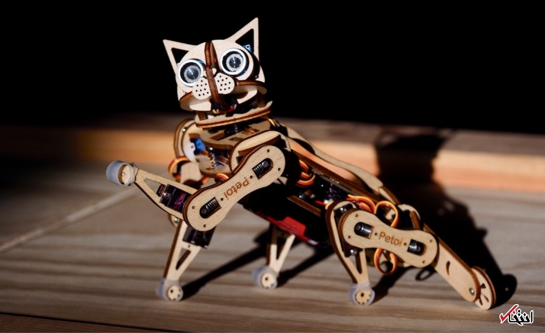 گربه رباتیکی که معلم برنامه نویسی است+تصاویر