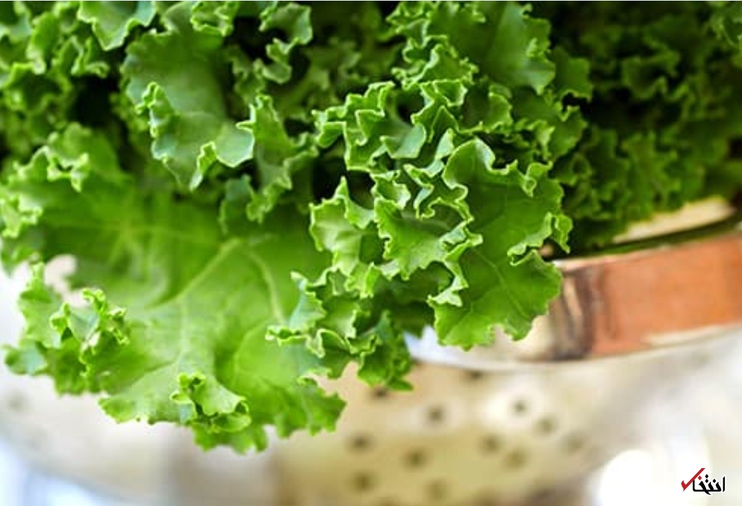 خانمها، این خوراکی‌ها سلامت شما را تامین می‌کنند