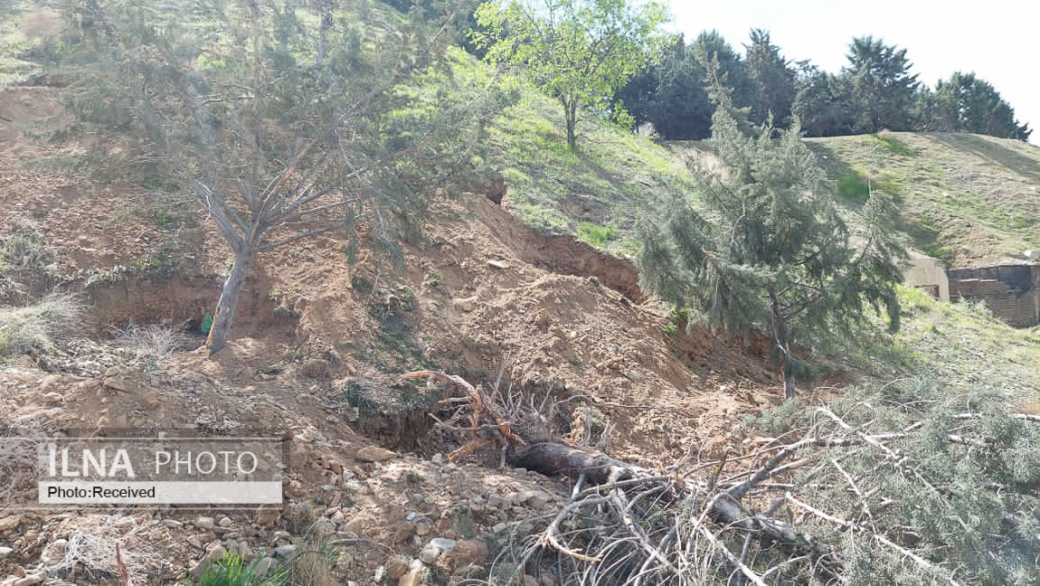 واکنش عضو شورا به تکذیب قطع ۲۰۰ اصله درخت در دانشگاه تهران: عکسها گویای قتل عام درختان است / عوامل آن مجموعه قصد داشتند یکی از کارکنان شهرداری را از بالا به پایین بیاندازد واکنش عضو شورا به تکذیب قطع ۲۰۰ اصله درخت در دانشگاه تهران: عکسها گویای قتل عام درختان است / عوامل آن مجموعه قصد داشتند یکی از کارکنان شهرداری را از بالا به پایین بیاندازد