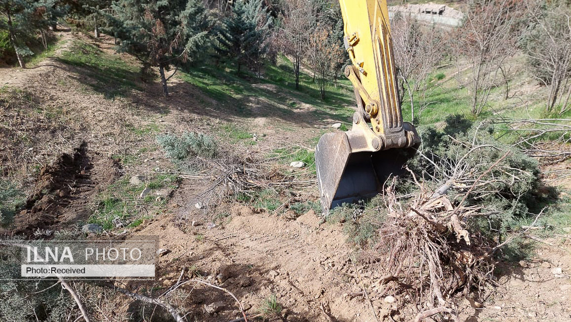 واکنش عضو شورا به تکذیب قطع ۲۰۰ اصله درخت در دانشگاه تهران: عکسها گویای قتل عام درختان است / عوامل آن مجموعه قصد داشتند یکی از کارکنان شهرداری را از بالا به پایین بیاندازد واکنش عضو شورا به تکذیب قطع ۲۰۰ اصله درخت در دانشگاه تهران: عکسها گویای قتل عام درختان است / عوامل آن مجموعه قصد داشتند یکی از کارکنان شهرداری را از بالا به پایین بیاندازد