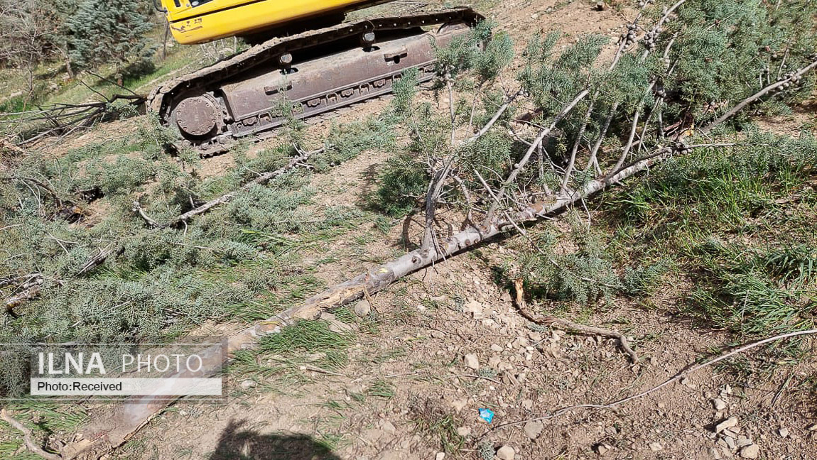 واکنش عضو شورا به تکذیب قطع ۲۰۰ اصله درخت در دانشگاه تهران: عکسها گویای قتل عام درختان است / عوامل آن مجموعه قصد داشتند یکی از کارکنان شهرداری را از بالا به پایین بیاندازد واکنش عضو شورا به تکذیب قطع ۲۰۰ اصله درخت در دانشگاه تهران: عکسها گویای قتل عام درختان است / عوامل آن مجموعه قصد داشتند یکی از کارکنان شهرداری را از بالا به پایین بیاندازد