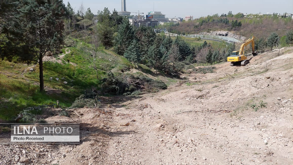 واکنش عضو شورا به تکذیب قطع ۲۰۰ اصله درخت در دانشگاه تهران: عکسها گویای قتل عام درختان است / عوامل آن مجموعه قصد داشتند یکی از کارکنان شهرداری را از بالا به پایین بیاندازد واکنش عضو شورا به تکذیب قطع ۲۰۰ اصله درخت در دانشگاه تهران: عکسها گویای قتل عام درختان است / عوامل آن مجموعه قصد داشتند یکی از کارکنان شهرداری را از بالا به پایین بیاندازد