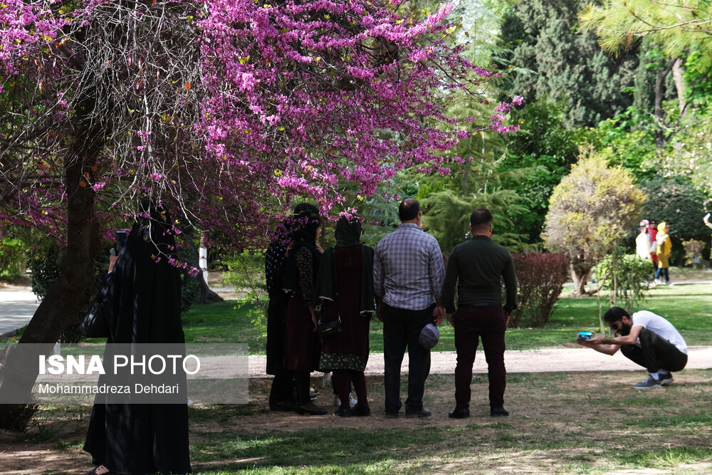 تصاویر: مسافران نوروزی -باغ ارم شیراز
