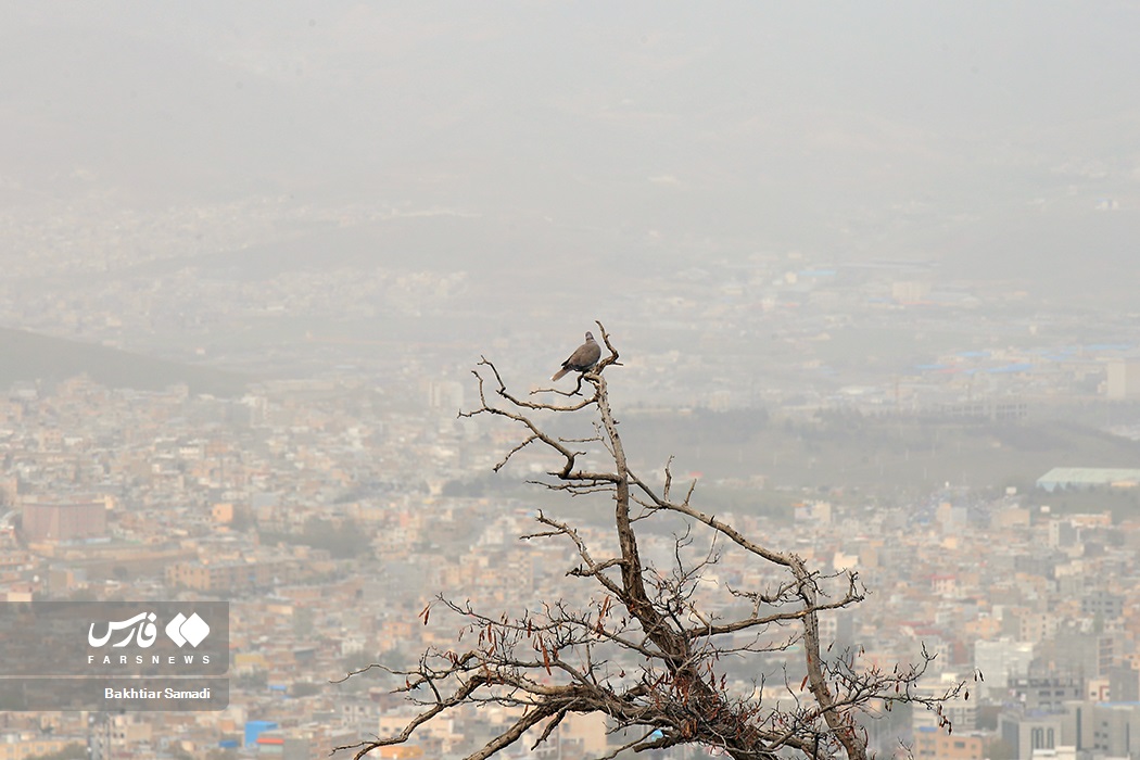 تصاویر: آلودگی هوا در استانها