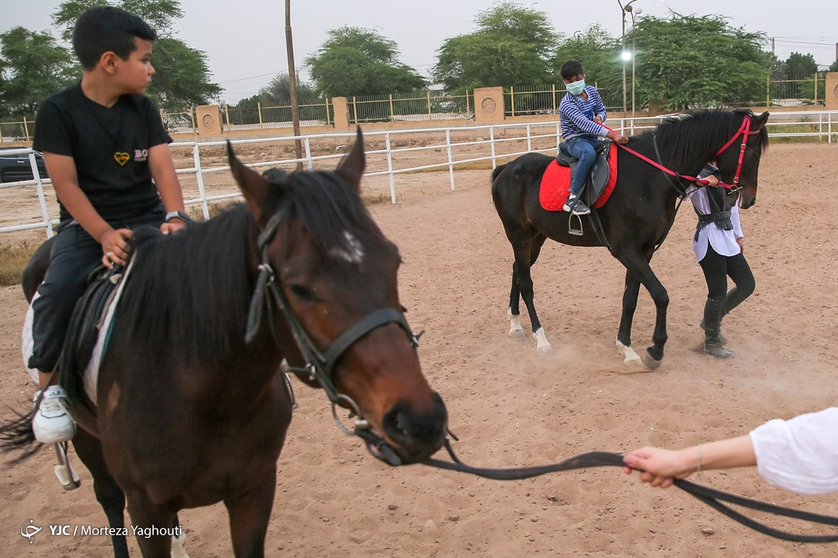 تصاویر: سوار بر اسب «آرزوها»