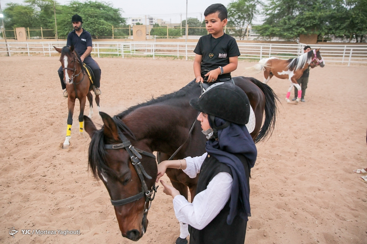 تصاویر: سوار بر اسب «آرزوها»