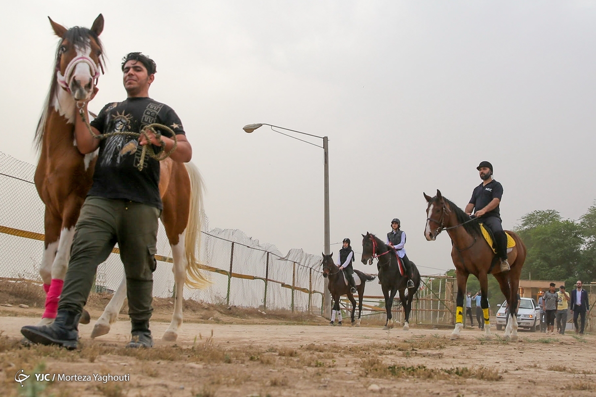 تصاویر: سوار بر اسب «آرزوها»