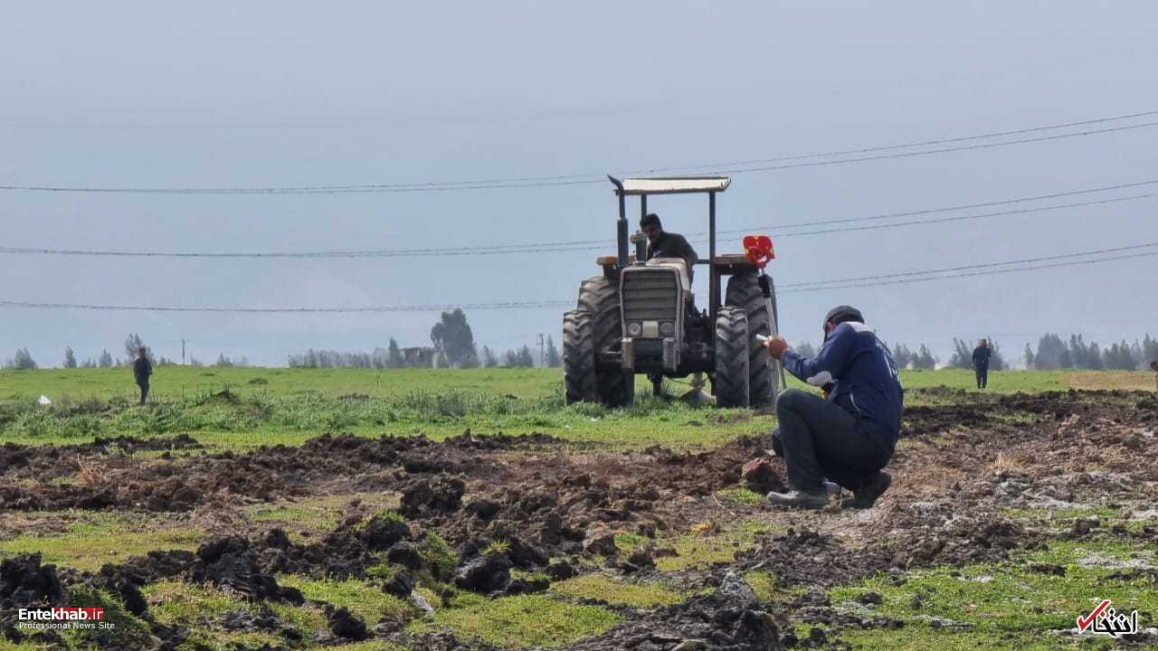 پیمانکار پروژه میانکاله فعالیت های خود و تخریب مرتع را سرعت بخشید +ویدیو و تصاویر