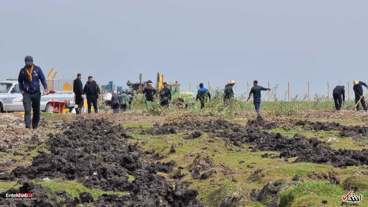 پیمانکار پروژه میانکاله فعالیت های خود و تخریب مرتع را سرعت بخشید +ویدیو و تصاویر