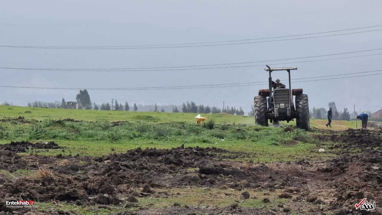 پیمانکار پروژه میانکاله فعالیت های خود و تخریب مرتع را سرعت بخشید +ویدیو و تصاویر