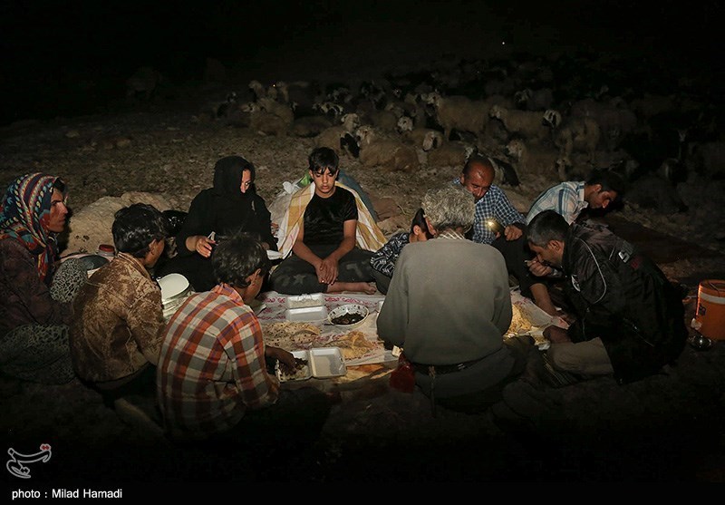 تصاویر: آغاز کوچ عشایر - خوزستان