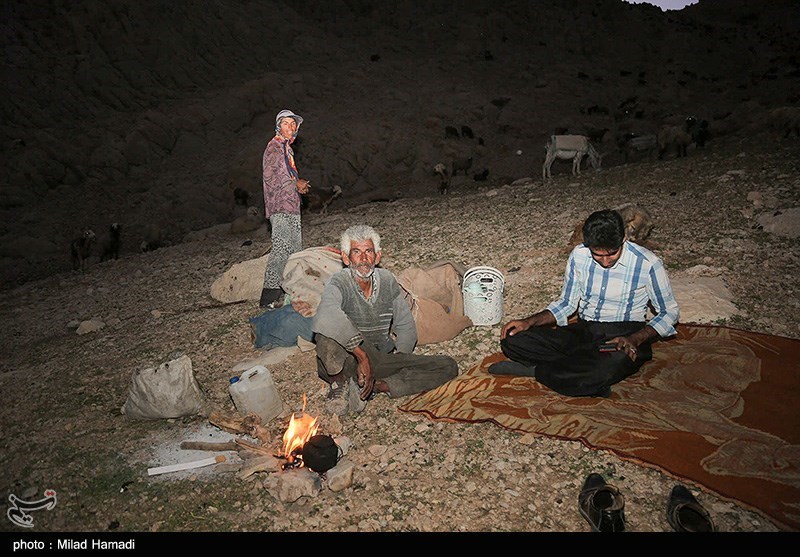 تصاویر: آغاز کوچ عشایر - خوزستان