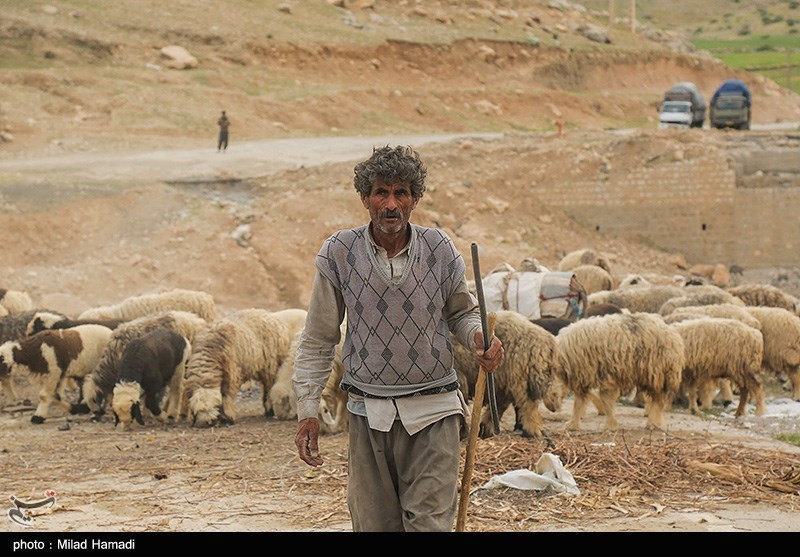 تصاویر: آغاز کوچ عشایر - خوزستان