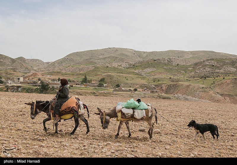 تصاویر: آغاز کوچ عشایر - خوزستان