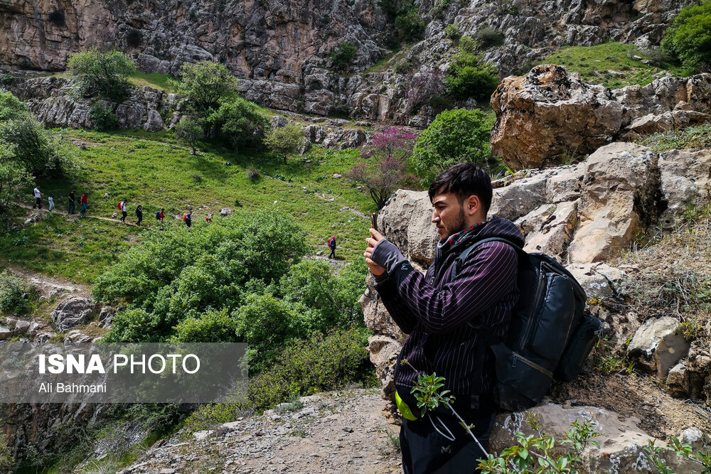 تصاویر: دره &laquo;ارغوان&raquo;