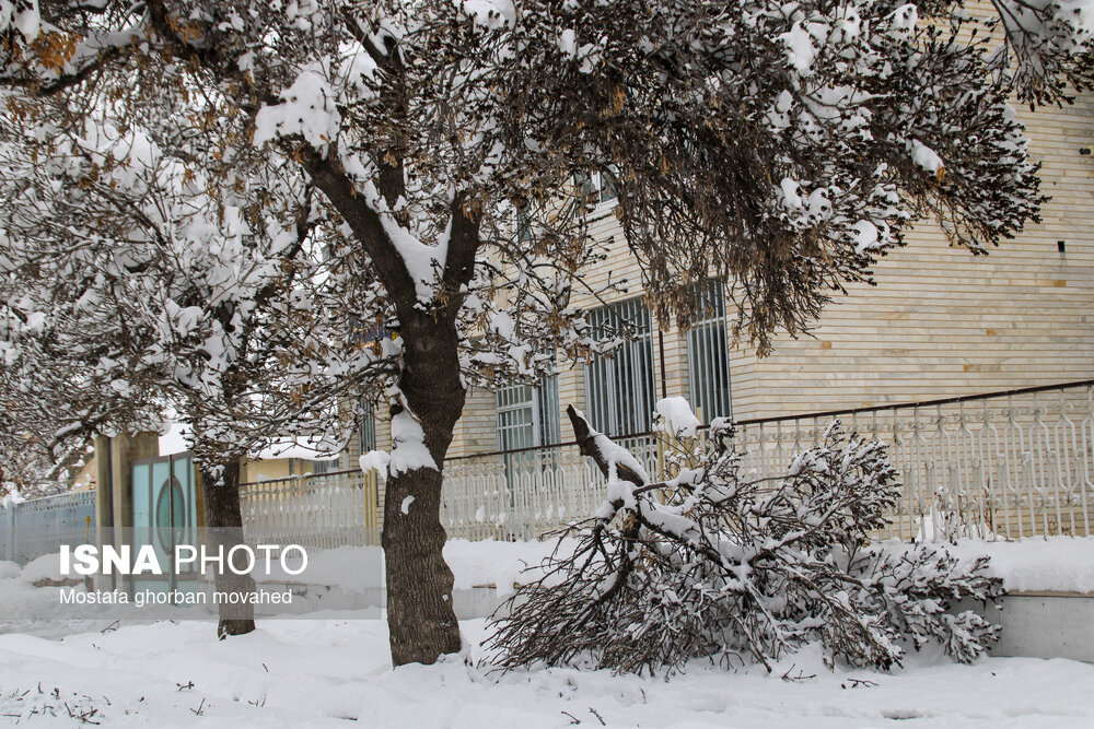 تصاویر: بارش برف در شهرستان اهر و منطقه ارسباران