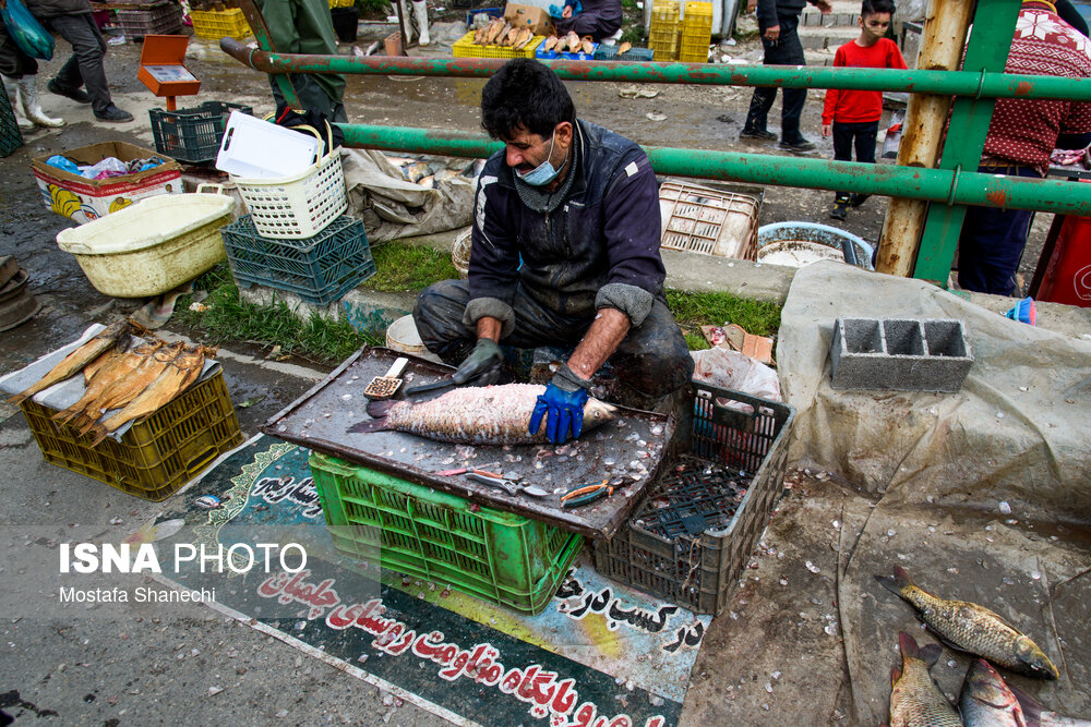 تصاویر: بازگشایی جمعه بازار «جویبار» پس از دو سال