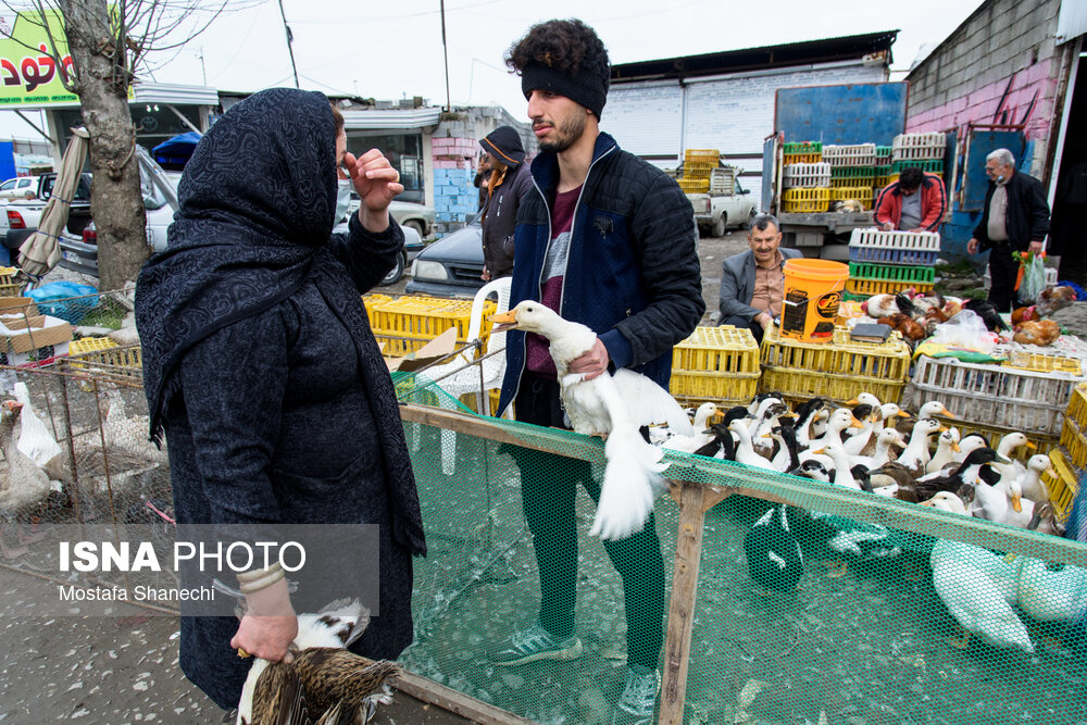 تصاویر: بازگشایی جمعه بازار «جویبار» پس از دو سال