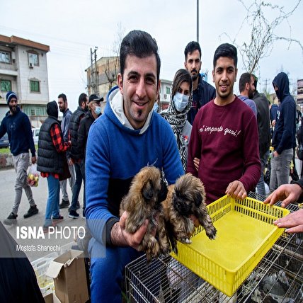 تصاویر: بازگشایی جمعه بازار «جویبار» پس از دو سال
