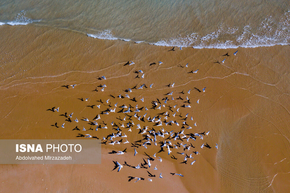تصاویر: &laquo;چابهار&raquo; سرزمین عجایب