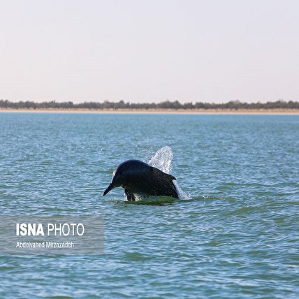تصاویر: «چابهار» سرزمین عجایب