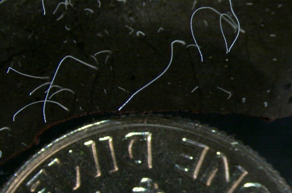 با پنج کشف رکوردشکن سال 2022 آشنا شوید